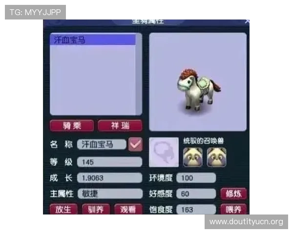 斗球小子如何快速升级提升等级的实用技巧与最佳升级路线推荐 斗球小子如何快速升级提升等级的实用技巧与最佳升级路线推荐